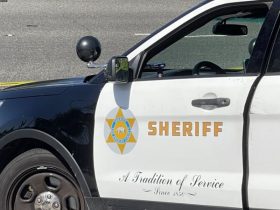 Mom Drives Hours to Facilitate Fraudulent Panhandling Scheme, Says LASD