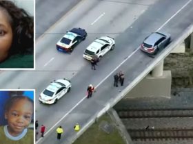 Mother's Desperate Act: Charged with Killing 3-Year-Old Twins After Overpass Jump