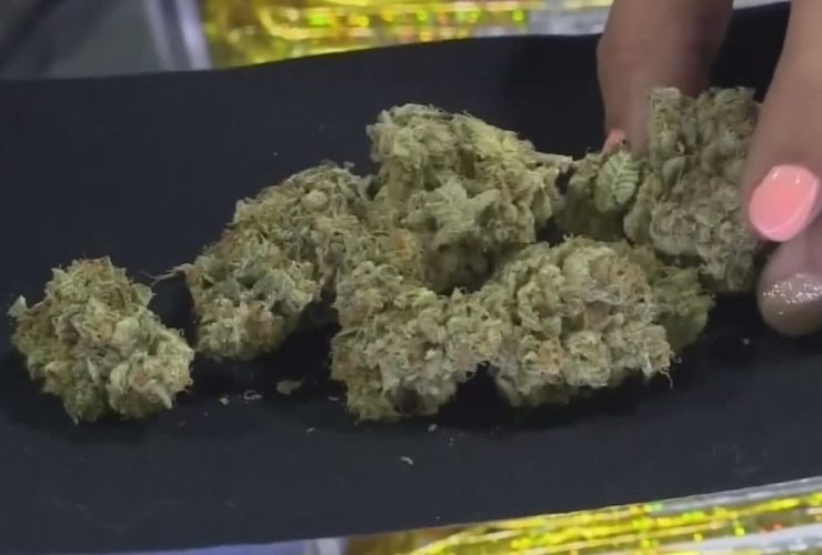 Ohio Sees Higher-Than-Expected Sales for Recreational Marijuana in Opening Week