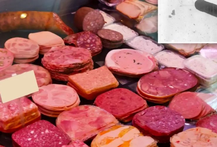 Pregnant Woman Sues After Deli Meat Contaminated with Listeria Nearly Causes Miscarriage