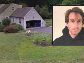 Son Confesses to Brutal Murder Violent Murder of Father with Organs Left Outside the Body