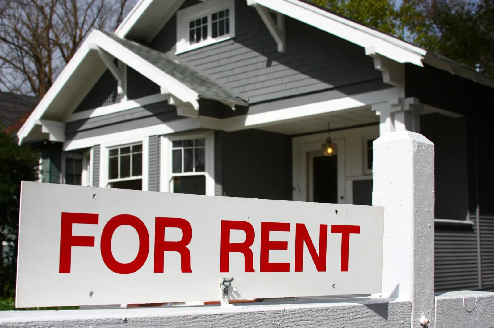 South Carolina Rent Increase Laws 2024: Know Your Rights as a Renter