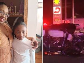 Speeding Driver Fleeing Police Kills Mother and 10-Year-Old Child in Delaware