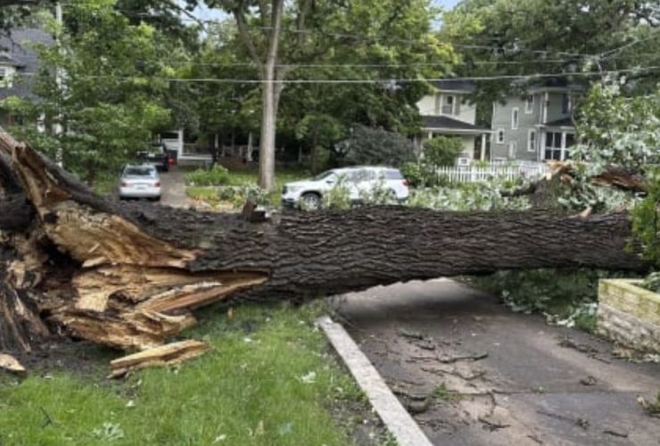 Storms Hit Baltimore Hard Residents Tackle Cleanup While Power Remains Out