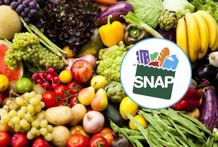 This Week’s SNAP Food Stamps Payments: Check Your EBT Card Now