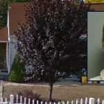 Tragic Daylight Incident 73-Year-Old Mother Fatally Stabbed by Son