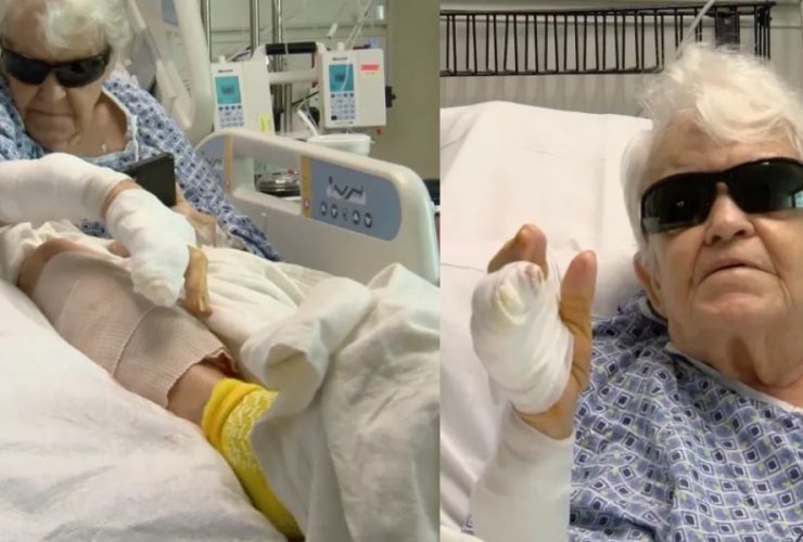 7-Foot Gator Attacks Florida Woman Walking Her Dog, Leaves Leg Wound