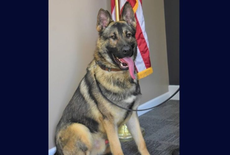 AG Files Charges After Police Dog Dies in Hot Car: Alert System Was Turned Off