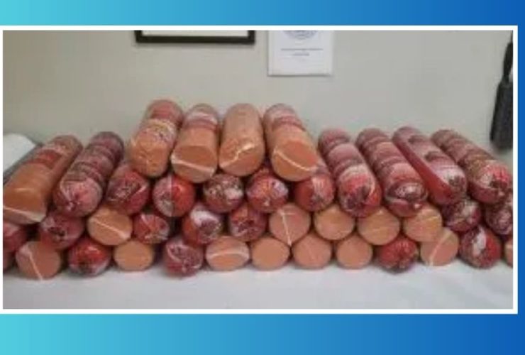 Border Inspection Results in Seizure of Woman's 700 Pounds of Bologna