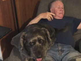 Dog Thief Arrested: Lucky the Dog Reunited with 87-Year-Old Pennsylvania Man