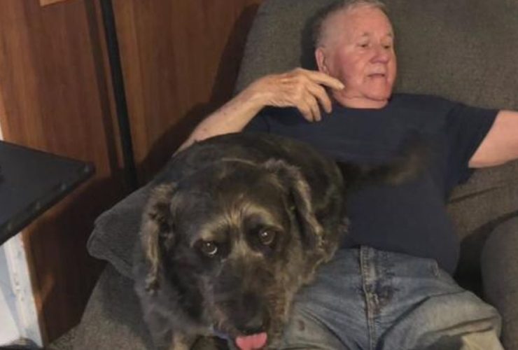 Dog Thief Arrested: Lucky the Dog Reunited with 87-Year-Old Pennsylvania Man