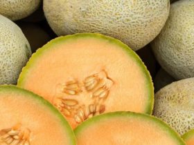 FDA Warns of Potential Salmonella Contamination in Cantaloupe Melons, Five States Affected