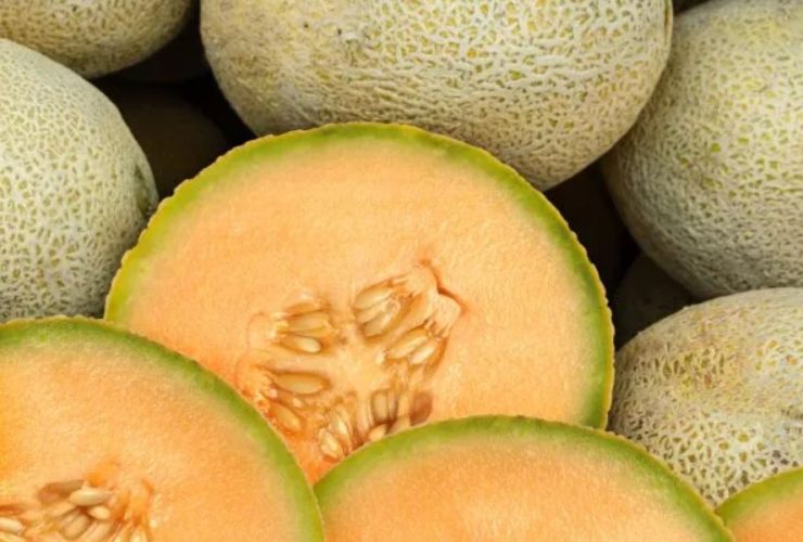 FDA Warns of Potential Salmonella Contamination in Cantaloupe Melons, Five States Affected