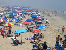 Health Alert 2 Delaware Beaches Closed After Medical Waste Found