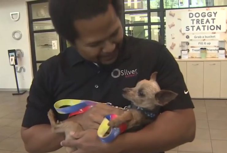 Heartwarming Reunion Georgia Family Reunites with Yorkie After 6 Long Years