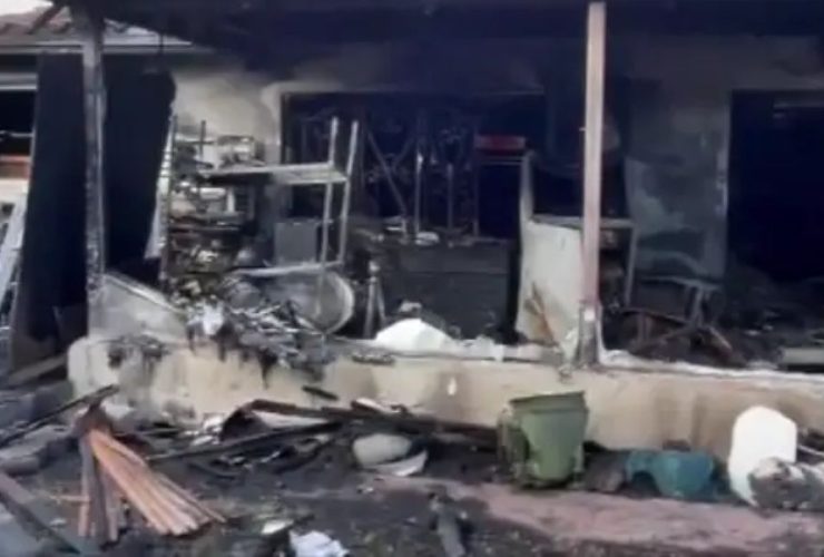 Heroic Cat Saves Homeowner in Sunrise House Fire, Tragically Perishes in Blaze