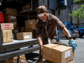 Immediate Openings UPS Delivery Driver Jobs with No Experience Required, $23Hour