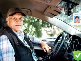 License Renewal for Seniors in Indiana: All You Need to Know in 2024