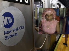 Manhunt in NYC Two Wanted for Subway Crash, Suspect Seen in Pink Shower Cap