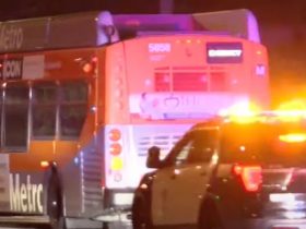 One Dead in LA Bus Hijacking as Gunman Forces Driver to Speed Through City