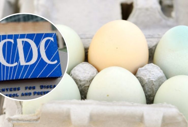 Salmonella Outbreak in Wisconsin: Dozens Sickened by Contaminated Eggs
