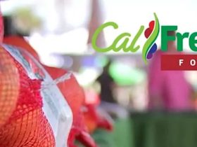 September CalFresh Payments Who's Eligible for Food Stamps in California This Week