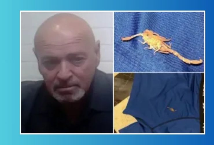 Vegas Hotel Faces Lawsuit After Hotel Employees Laughed at Guest's Scorpion Attack