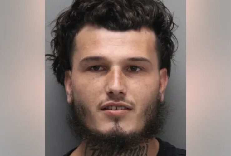Video Game Console Theft Delaware Man Accused of Targeting 3 Stores in a Few Hours