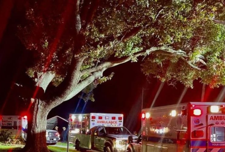11 Pennsylvania Residents Hospitalized After Eating Wild Mushrooms