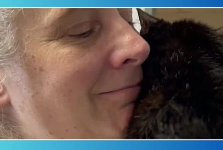 Blind Cat's Heartwarming Reunion with Owner After Two Years Missing in Tri-State Area