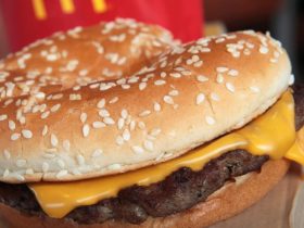 CDC Reports E. Coli Outbreak Tied to McDonald's Quarter Pounders Results in 1 Fatality, 49 Infected