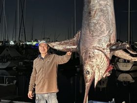 California Fisherman Sets New Record with Giant Swordfish Catch