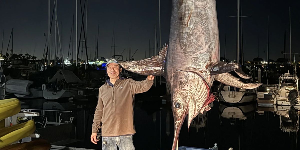 California Fisherman Sets New Record with Giant Swordfish Catch