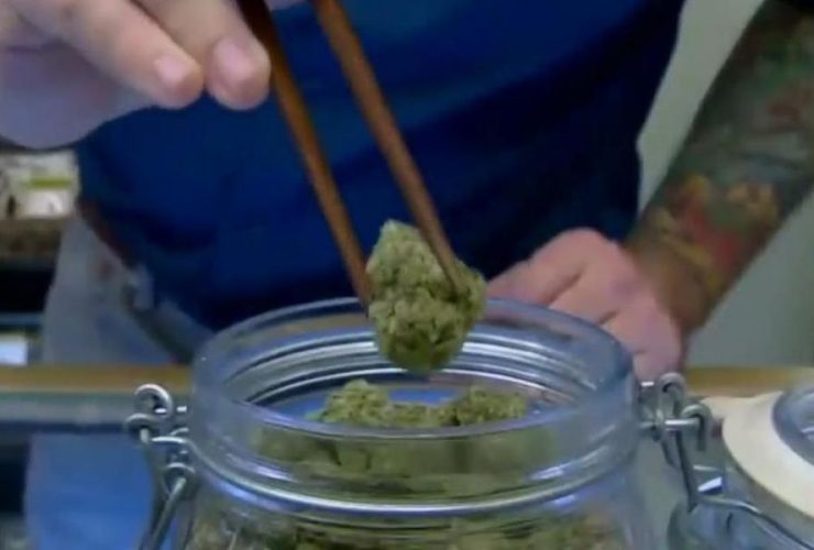 Cannabis Culture Expands Newsom Legalizes Amsterdam-Style Cafes in California