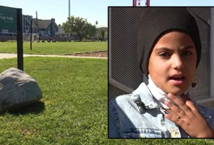Detroit Horror Man Slashes 7-Year-Old Girl's Neck in Park Attack