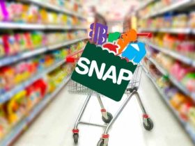 Eligibility Expands for SNAP Benefits in Florida 400,000 More Can Now Apply