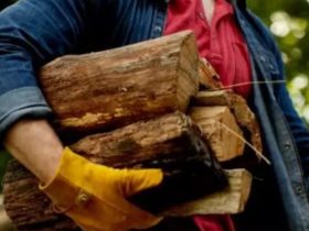 Firewood Ban in New York What Homeowners Should Know