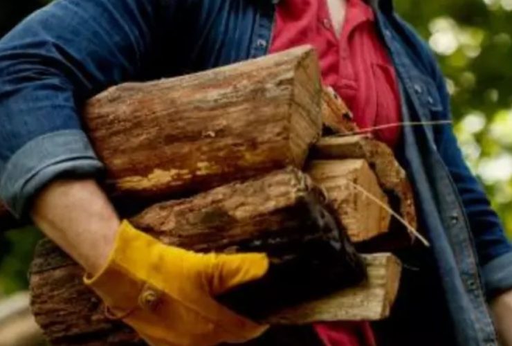 Firewood Ban in New York What Homeowners Should Know