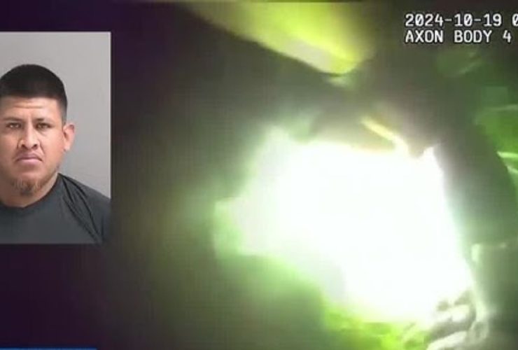 Florida Lady is Saved From an Illegal Immigrant During an Alleged Rape Attempt After Calling 911 for Pizza