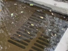 Florida Sees Spike in Flesh-Eating Bacteria Infections After Consecutive Hurricanes