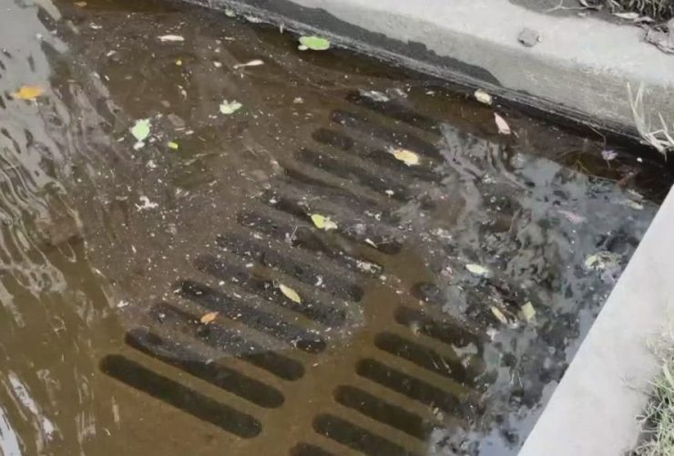 Florida Sees Spike in Flesh-Eating Bacteria Infections After Consecutive Hurricanes