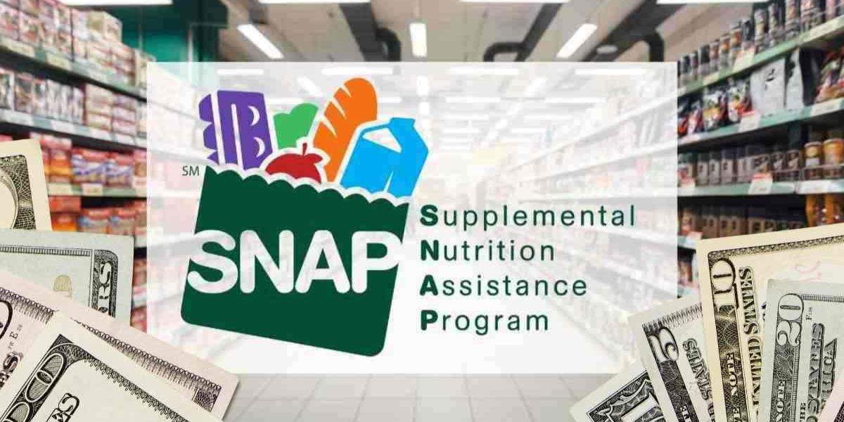 Get Ready for SNAP November Payments of $292 to $1,756 Coming Soon!