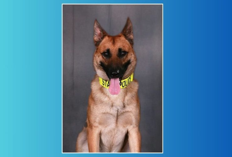 Heroic K-9 Retires After 8 Years of Service, Survives Bullet Wound for Owner
