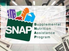 Is Your State on the List SNAP Payments Up to $1,756 Start October 4!