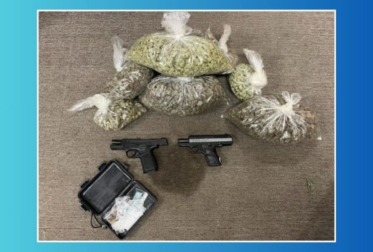 Major Sting Operation in Southern California Leads to 29 Arrests and Seizure of Guns and Drugs