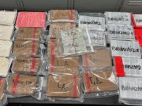 Massive Fentanyl Seizure by LAPD Enough to Endanger Entire LA Population