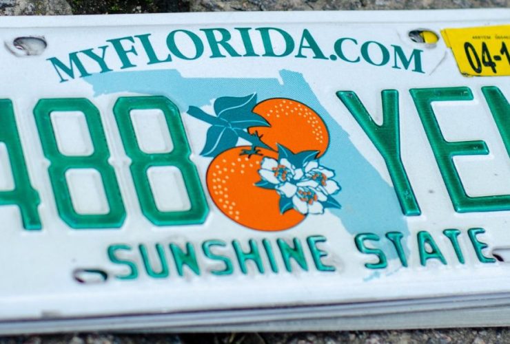 New Designs for Florida License Plates Are Unveiled, What to Expect