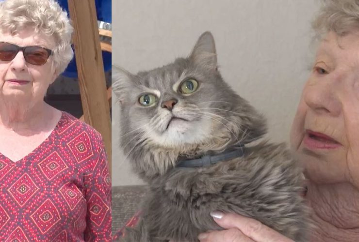 Pet Owner Joyfully Reunited with 3 Cats After Martin County Tornado