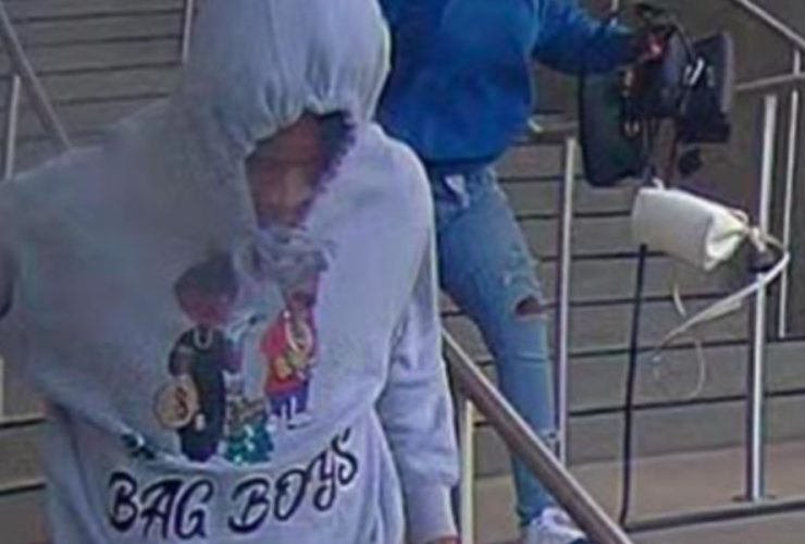 Southern California Mall Hit by $90,000 Flash-Mob Robbery, Six in Custody