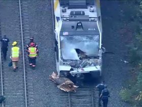 Train Hits Tree in New Jersey Operator Killed, 23 Passengers Hurt